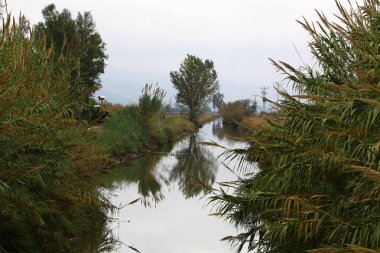 Göl Hula, göçmen kuşlar 