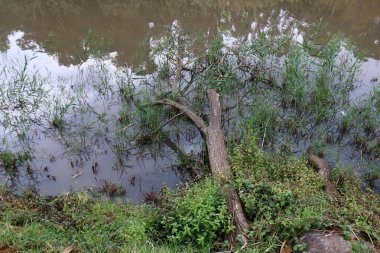 Göl Hula, göçmen kuşlar 