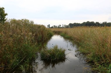 Göl Hula, göçmen kuşlar 