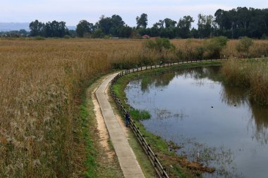 Göl Hula, göçmen kuşlar 