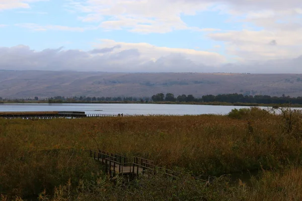 Aves migratorias en el lago Hula — Foto de Stock