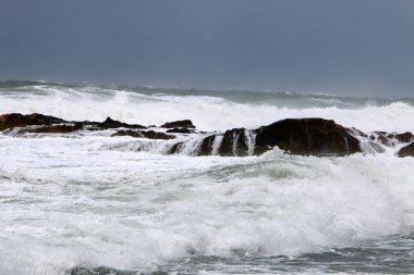 Deniz fırtınası 