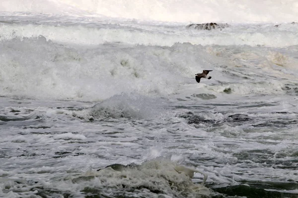 Tempestade no Mar Mediterrâneo — Fotografia de Stock