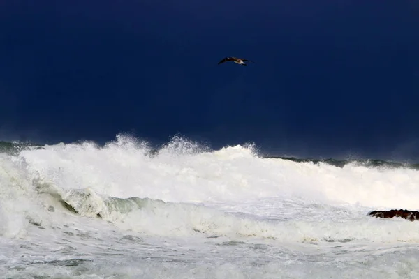 Storm op de Middellandse Zee — Stockfoto