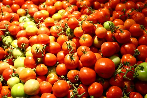 üstünde belgili tanımlık sayaç meyve ve sebze yalan 