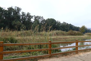 her zaman Sınırdaki telleri 