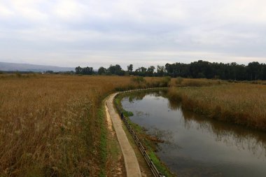 her zaman Sınırdaki telleri 