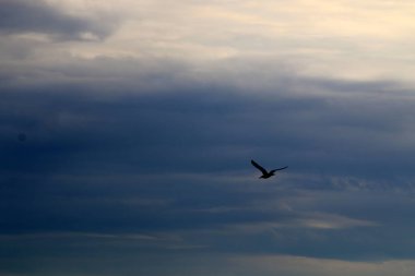 başınızın üstünde geniş gökyüzü 