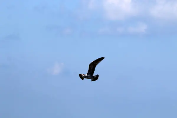 あなたの頭の上に広大な空 — ストック写真