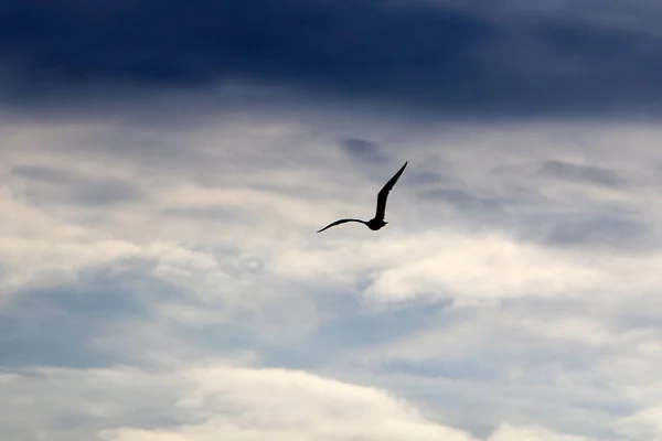 O vasto céu acima de sua cabeça — Fotografia de Stock