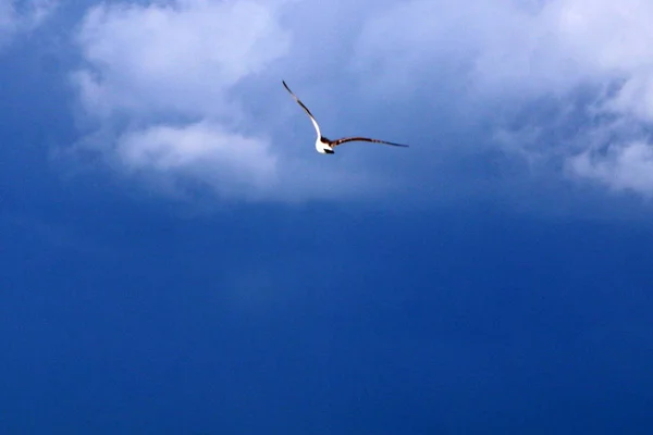 Der weite Himmel über deinem Kopf — Stockfoto