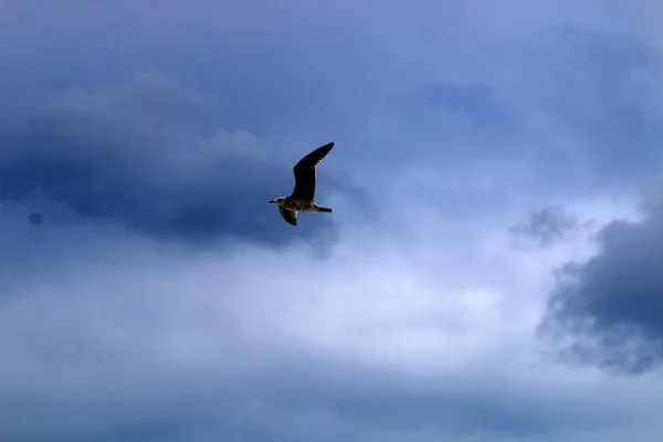 Der weite Himmel über deinem Kopf — Stockfoto