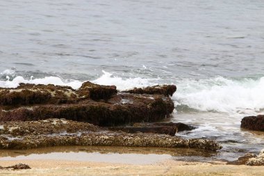 Akdeniz kıyısında 