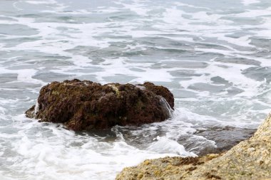 Akdeniz kıyısında 