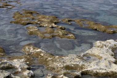 Akdeniz kıyısında 