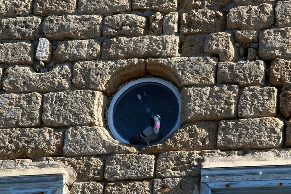 窓やバルコニー、ハイファ — ストック写真