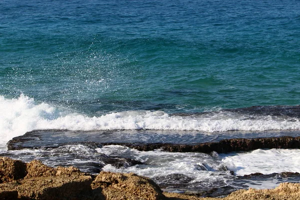 Orilla del Mar Mediterráneo —  Fotos de Stock