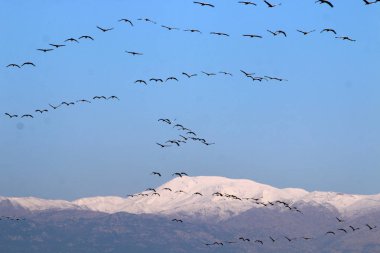 Mount Hermon üzerinde kar 