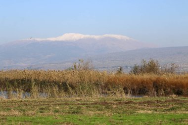 Mount Hermon üzerinde kar 