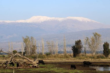 Mount Hermon üzerinde kar 
