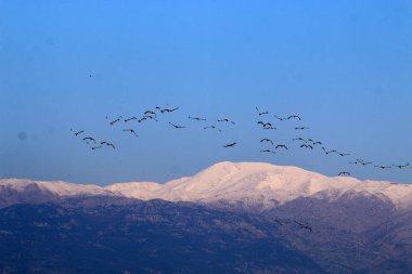 Mount Hermon üzerinde kar 