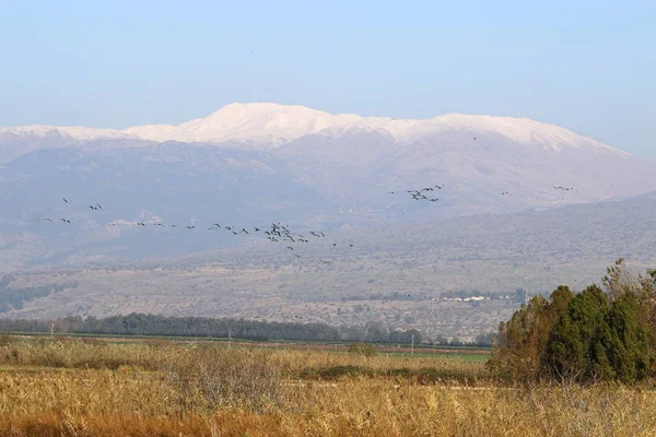 Mount Hermon üzerinde kar — Stok fotoğraf