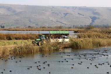 Hula kuş sanctuary 