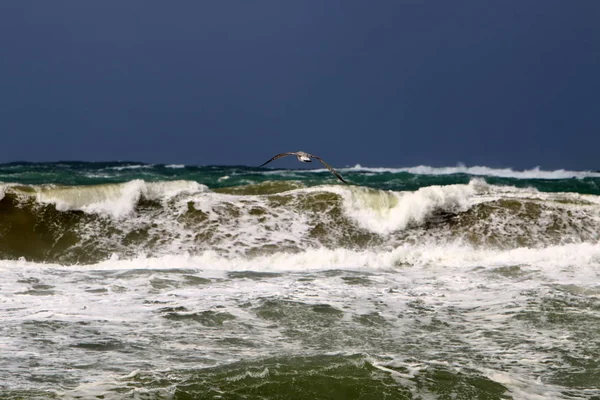 Storm on the Mediterranean Sea — Stock Photo, Image