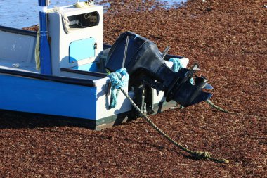 sahile bir tekneniz varmış çocuklar 