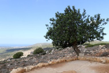 Doğa yakın çekim resimleri 
