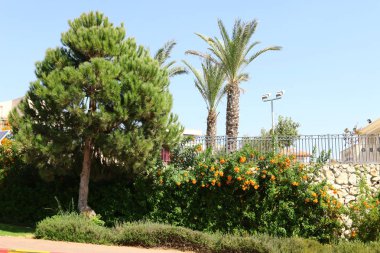 Doğa yakın çekim resimleri 