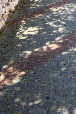 Görünüm ve malzemenin doku 