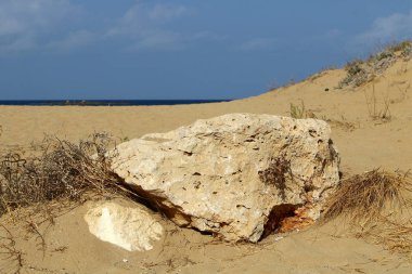 kıyı boyunca taşlar 