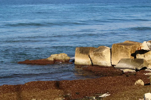 Ao longo da costa estão as rochas — Fotografia de Stock