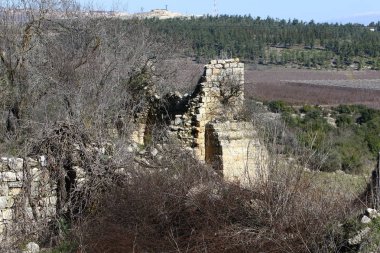 Eski sinagog Baram Milli Parkı'nda. 