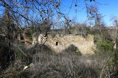 Eski sinagog Baram Milli Parkı'nda. 