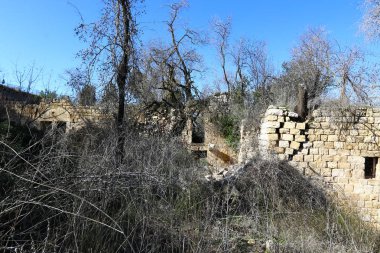 Eski sinagog Baram Milli Parkı'nda. 