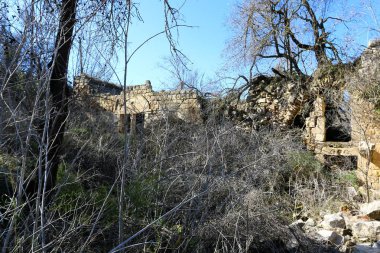 Eski sinagog Baram Milli Parkı'nda. 