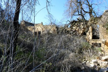 Eski sinagog Baram Milli Parkı'nda. 