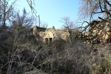 Eski sinagog Baram Milli Parkı'nda. 