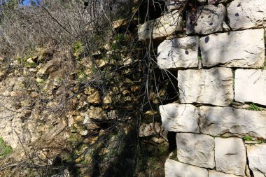 Eski sinagog Baram Milli Parkı'nda. 