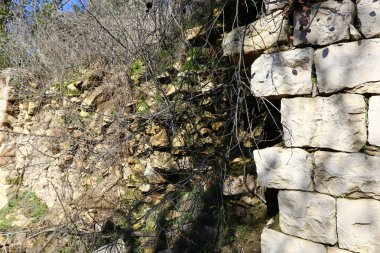 Eski sinagog Baram Milli Parkı'nda. 