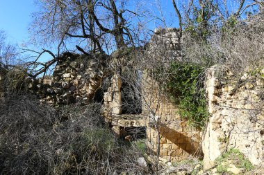 Eski sinagog Baram Milli Parkı'nda. 