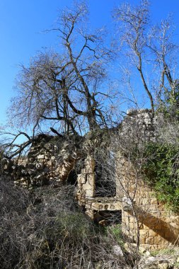 Eski sinagog Baram Milli Parkı'nda. 