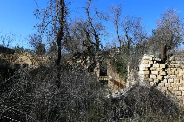 L'antica sinagoga nel Parco Nazionale di Baram . — Foto Stock