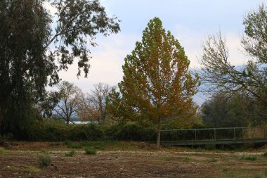 Köprü nehrin üzerinde 