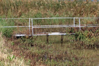 Köprü nehrin üzerinde 