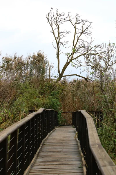 Brücke über den Fluss — Stockfoto