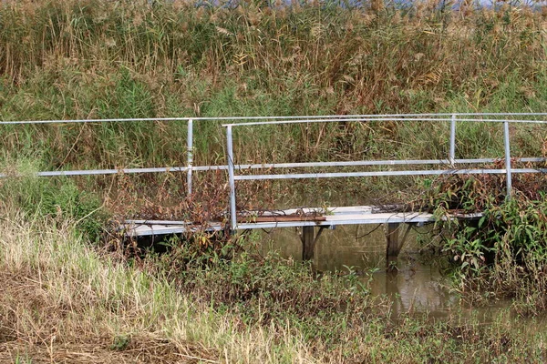 Köprü nehrin üzerinde 