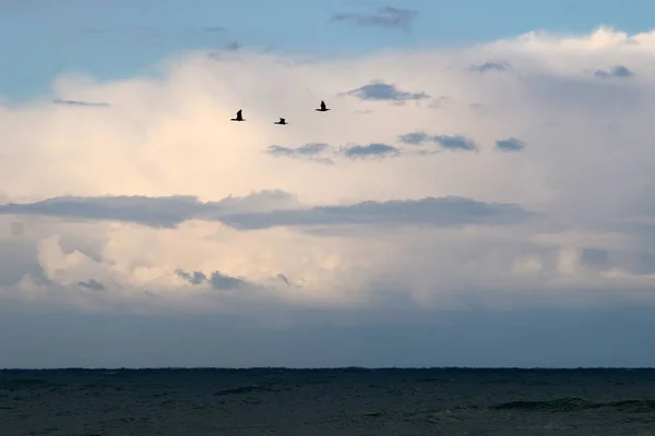 Côte De La Mer Méditerranéenne — Photo